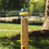 Ashman Sturdy Tube Bird Feeders-Set of 2, Green, Red or Yellow