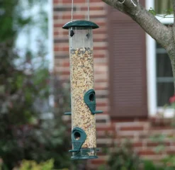 Ashman Sturdy Tube Bird Feeders-Set of 2, Green, Red or Yellow