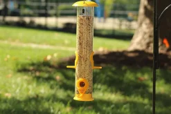 Ashman Sturdy Tube Bird Feeders-Set of 2, Green, Red or Yellow