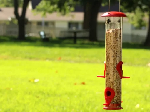Ashman Sturdy Tube Bird Feeders-Set of 2, Green, Red or Yellow