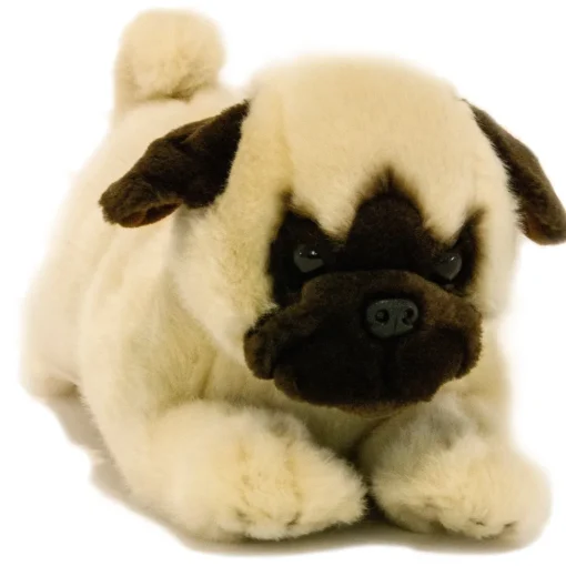 Black or Fawn Floppy Pug Puppies Eco-friendly
