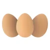 Bouncy Realistic Rubber Brown Eggs Perfect for Easter or Year Round Fun!