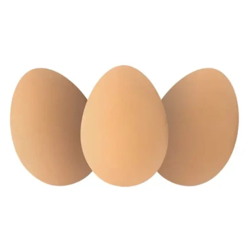 Bouncy Realistic Rubber Brown Eggs Perfect for Easter or Year Round Fun!