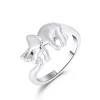 Dinosaur rings