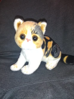 Grey Tabby and Calico Exotic Short Hair Plush Cats