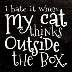 I Hate when my Cat Thinks outside the Box Wood Sign