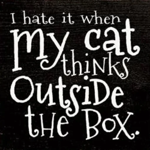 I Hate when my Cat Thinks outside the Box Wood Sign