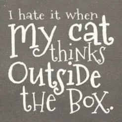I Hate when my Cat Thinks outside the Box Wood Sign