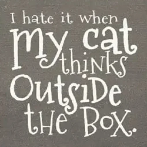 I Hate when my Cat Thinks outside the Box Wood Sign