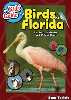 Kids Guide to Birds of Florida Book-Beautiful Photos!