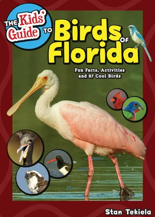 Kids Guide to Birds of Florida Book-Beautiful Photos!