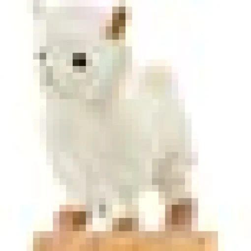 Lil' Alma the Lama