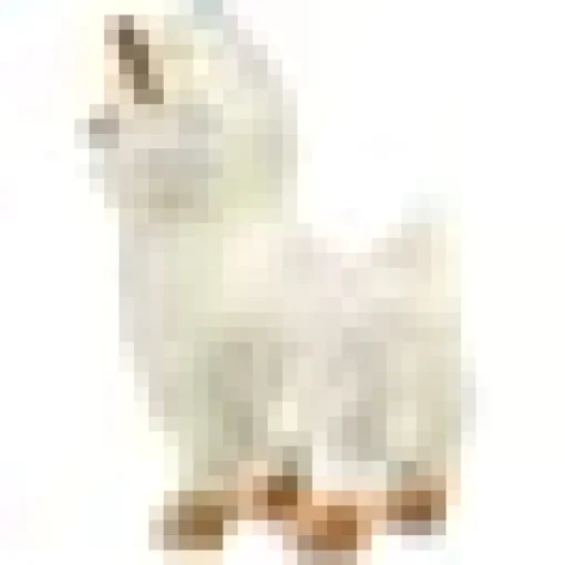 Lil' Alma the Lama