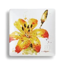 Nature & Bird Snack Plates Collection - by Artist Dean Crouser -Magnificent! *