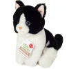 Perfect Black & White Cat by Teddy Hermann