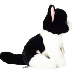 Perfect Black & White Cat by Teddy Hermann