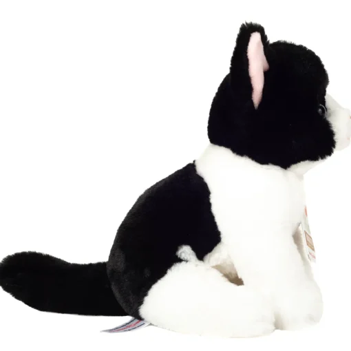 Perfect Black & White Cat by Teddy Hermann