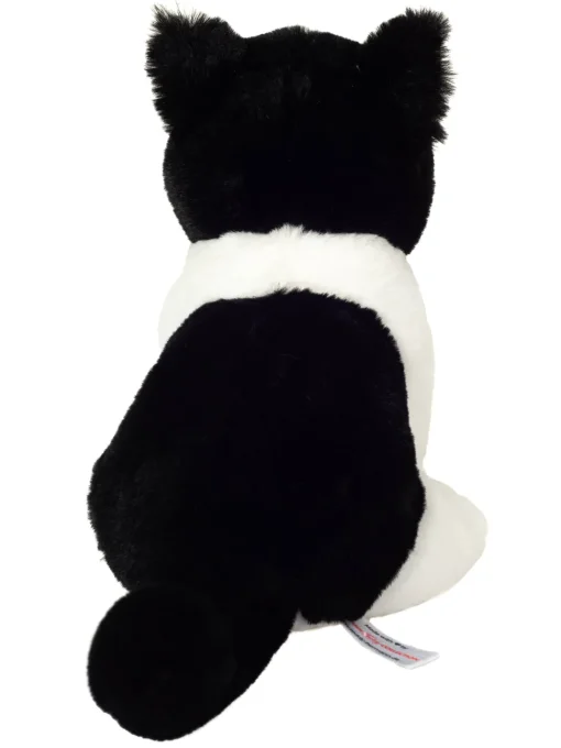 Perfect Black & White Cat by Teddy Hermann