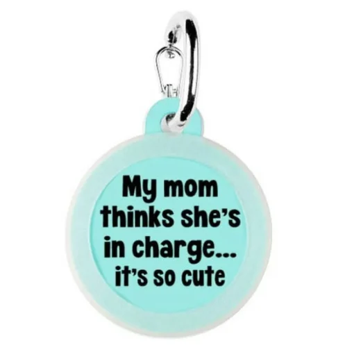 Pet Dog Tags Made in the USA, Recycled Metal, Glow in Dark, Waterproof *