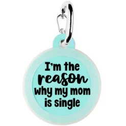 Pet Dog Tags Made in the USA, Recycled Metal, Glow in Dark, Waterproof *
