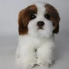 Plush Shih Tzu Puppy Brown and White