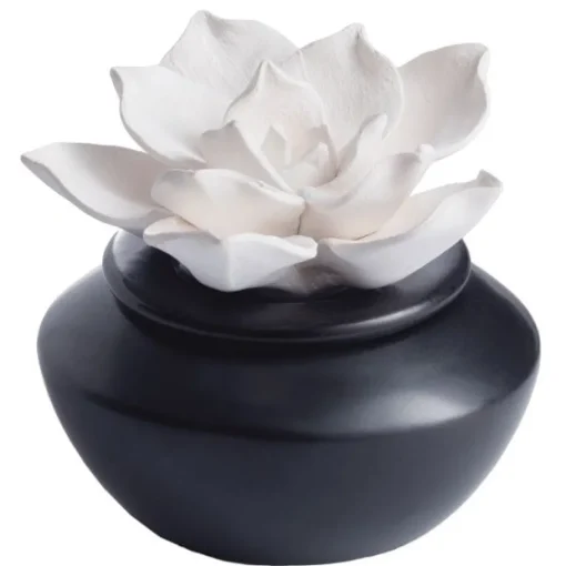 Porcelain Gardenia Airome Diffuser with Peppermint Oil Aromatherapy