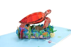 Sea Turtle Pop Up 3D Greeting Card